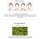SNP Jeju Rest Green Tea Mask