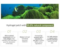 Secret Key Marine Racoony Hydrogel Eye &amp; Multi Patch