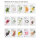MISSHA Pure Source Cell Sheet Mask Red Roter Ginseng Gesichtsmaske 10 St&uuml;cke